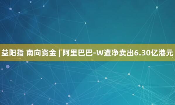 益阳指 南向资金 | 阿里巴巴-W遭净卖出6.30亿港元
