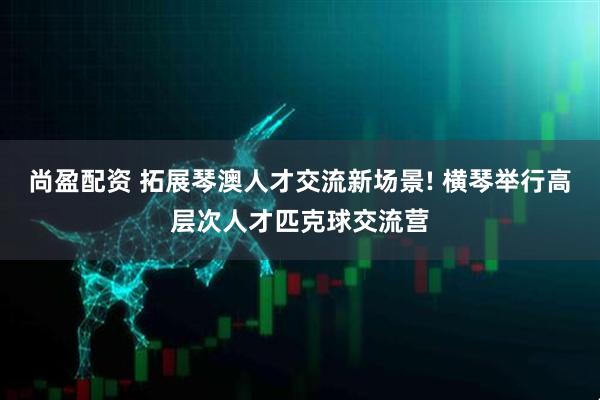 尚盈配资 拓展琴澳人才交流新场景! 横琴举行高层次人才匹克球交流营