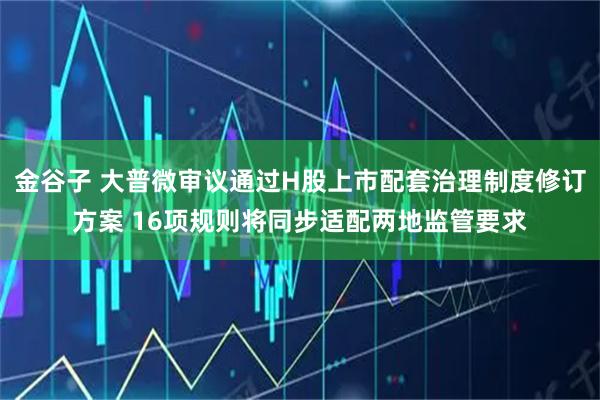 金谷子 大普微审议通过H股上市配套治理制度修订方案 16项规则将同步适配两地监管要求